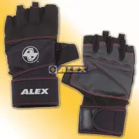 在飛比找樂天市場購物網優惠-【H.Y SPORT】Alex A-38 POWER重量訓練