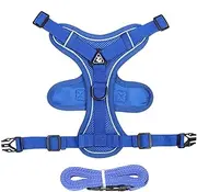 Cat Harness - Small Dog Harness | Harness for Cat | Heavy Duty Kitten Lead | Cat Harness and Lead | Cat Chest Harness and Lead, Adjustable Kitten Vest Harness for Cats, Walking Pet Harness