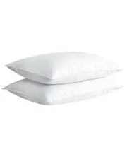 Firefly Twin Pack White Goose Nano Down And Feather Pillows