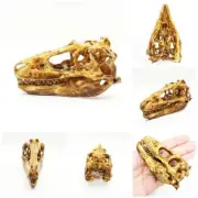 T-Rex Dinosaur Skull Replica - 1:12 Scale for diorama dollhouse (1 skull)