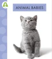 Animal Babies by Anastasia Suen Hardcover Book