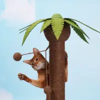 在飛比找蝦皮購物優惠-椰樹 貓抓板 可替換 劍麻 貓抓柱 立式 貓爪板 不掉屑 貓