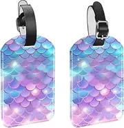 [YTYVAGT] Luggage Tag,Bag Tags for Luggage,Travel Suitcase Tags,Colorful Scale,2-Pc