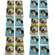 Set of 24 Mini Tattoo Boxes with 4 Mini Dogs and Cats Tattoos on One Sheet