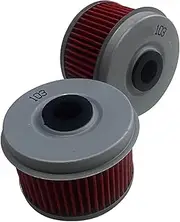 Motorcycle Oil Filter For CB250R Neo Sports CMX250 Rebel CRF250 Rally 17-20 CB300F 17-18 CB300R CBF300 18-24(2pcs)