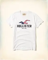 在飛比找Yahoo!奇摩拍賣優惠-Hollister Logo Graphic 白色 刺繡貼布