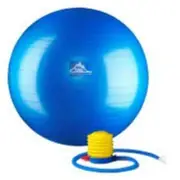 Black Mountain Products 65cm Blue Gym Ball 65 cm. Static Strength Exercise St...