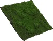 Parliky Artificial Grass Wall Panel Greenery Backdrop Rug for Events Decor Versatile Faux Grass for Miniature Landscapes Wall Coverings and Pet Areas Effortless