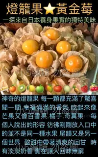 在飛比找Yahoo!奇摩拍賣優惠-日本大果 燈籠果 黃金莓 種子 一份 100顆