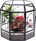 Large Glass Terrarium Handmade, Centerpiece Display Box Gift Planter Containers