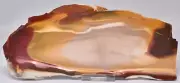 MOOKAITE Polished Slice, FOSSIL RADIOLARIAN Western Australia S960