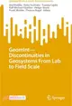 Geomint - Discontinuities in Geosystems from Lab to Field Scale