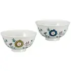 Kutani yaki ware Japanese Rice bowl set of 2 GohanFlower Arabesque Soho kiln