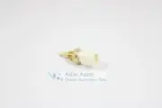 Genuine Lexus 2004-2022 Water Coolant Temperature Sensor 8942233030 OEM