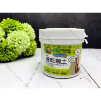 在飛比找蝦皮購物優惠-【商殿】修繕屋 速乾補土 250g 4826 補土