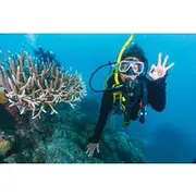 Save 5.00%! Advanced Open Water PADI Diving Course W/Transfer - Marsa Alam