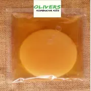 Organic Kombucha Scoby, 200ml, Strong Starter Tea, Instructions, Free Delivery