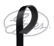 V-Ribbed Belt fits: VOLVO FM7 FM 7/250/FM 7/290,MAN SÜ SÜ 283/SÜ 263/SÜ 243/S