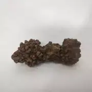 Croprolite - Fossil Dinosaur Poop - Madagascar