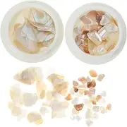 VICASKY Nail Art Charms Natural Shell Nail Decoration for Manicure Gem Ornaments for Women and Teen Versatile Nail Decors for Creative Nail Designs