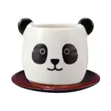 在飛比找遠傳friDay購物優惠-日本 sunart 茶杯組 - 貓熊