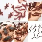 20Pcs Rubber Scorpion Fake Cockroach PVC Cockroach Model Toy Simulated Insects