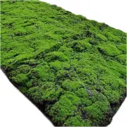 YIQIFLY Simulation Artificial Moss Mat Fake Grass Rug DIY Synthetic Turf Lawn Ca