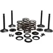 Kibblewhite Complete Black Diamond Engine Valve Kit Harley FL V Twin 41-47