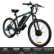 TDR 29 Inch Electric Bike Mountain Bicycle 250W eBike e-MTB, 36V 13A Battery Kit