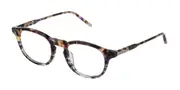 Lozza VL4238 Biella 3 0WTG Men's Glasses Tortoiseshell Size 49 - Private Health Rebate - Blue Light Block Available