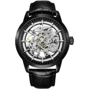 Pagani Design 2024 Men's Automatic Skeleton Watch, self-Winding, Stainless St...