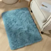 Area Rugs for Bedroom, 2x3 Door Mat Washable Small Teal Bedside Rug,Fluffy