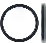 Crankshaft Rear Seal OSS0261