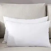 Gyulin 2 Pack Home Decorative 100% Cotton Canvas Square Solid Toss Pillowcase Cushion Cover Pillow Cover with Hidden Zipper Closure Only Cover No Insert Slipcovers for Couch Sofa Bed 30x50cm,White