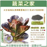 在飛比找蝦皮購物優惠-【蔬菜之家滿額免運】大包裝A63.焦糖羅蔓種子11克(約15