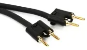Pro Co S12BB-20 Banana-Banana Speaker Cable - 20'
