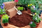 Coco Coir Peat Compost Husk Fiber 100% Natural Organic Hydroponic Growing Media