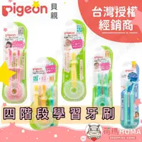 在飛比找蝦皮購物優惠-〓荷瑪寶寶〓【台灣公司貨】日本 Pigeon 貝親 乳齒牙刷