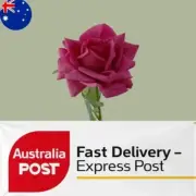 Artificial Faux Ecuador Real Touch Rose Stem - Dark Pink Colour