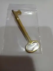 Solid Brass Skeleton Key