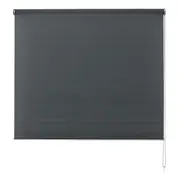 Aster Sunscreen Roller Blind
