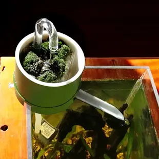 洛陽牡丹 水族過濾盒毛竹筒流水器小型上置外置三合一魚缸過濾器