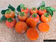 Persimmon Flat Seedless (A) Tree - Diospyros kaki