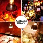 220VInfrared Heat Lamp Bulb For Poultry Reptile Amphibian Pet Chicken Brooder AU