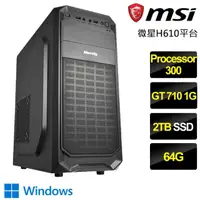 在飛比找momo購物網優惠-【微星平台】Processor雙核GT710 Win11{清