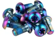 SRAM Titanium Rotor Bolt Kit 12pk