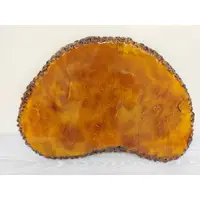 在飛比找蝦皮購物優惠-~春秋樹石~ 大黃金樟瘤板 (P037-3) 真柏 小品 盆