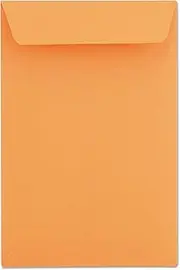 UNV40105 - Universal Catalog Envelope