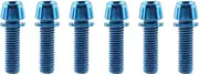 6Pcs Bike Stem Screws Bolts Kit Bike Brake Screws Bicycle Stem Bolts for Mountain Bike