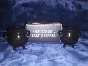 Cauldron Salt And Pepper Shaker Set